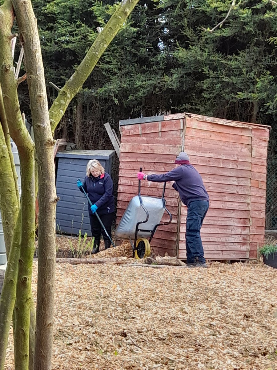 FriendsDrive's tweet image. Another approximate 20 tons of wood chippings spread today. Thank you Rapid Tree Care and all of our Volunteers.