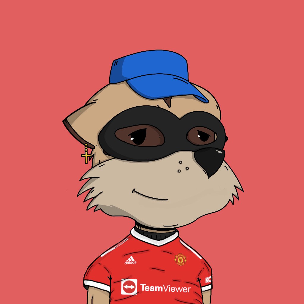 JerpahJ's tweet photo. #NewProfilePic #MeerkatsBackTo40 #MeerkatMob #meerkat #MeerkatMonday https://t.co/QBgxsWeH5H