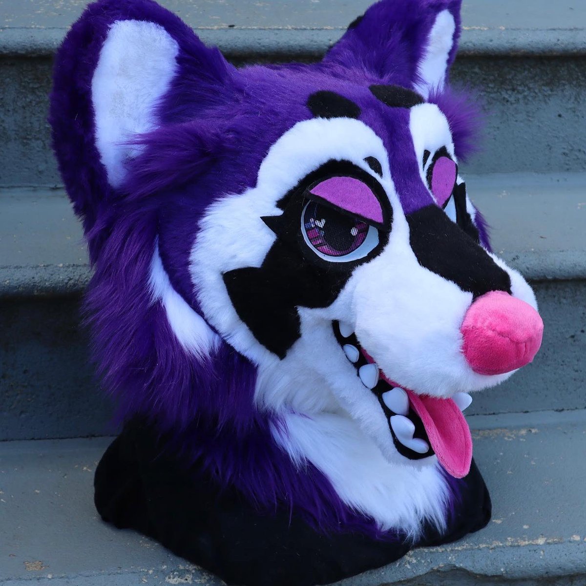 corgilope's tweet photo. There she is! Cakes the plush raccoon shark 

🌱

Her head features two tongues and velcro eyelids. This head is part of a fullsuit https://t.co/pWUG7op3Ke
