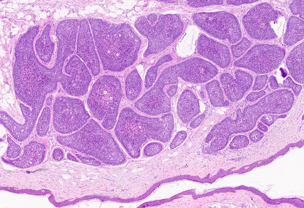 Jorge Fernández tweet media