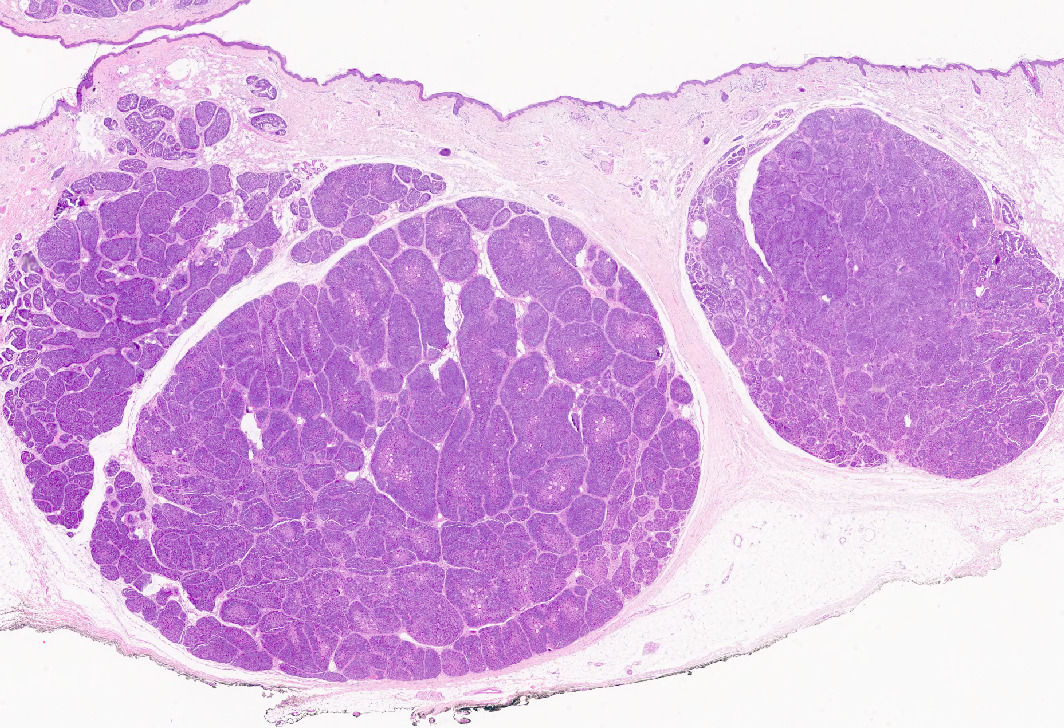 Jorge Fernández tweet media