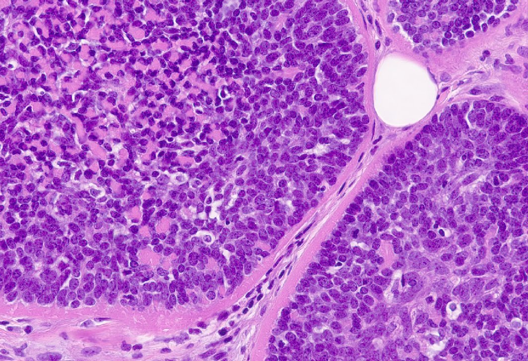 Jorge Fernández tweet media