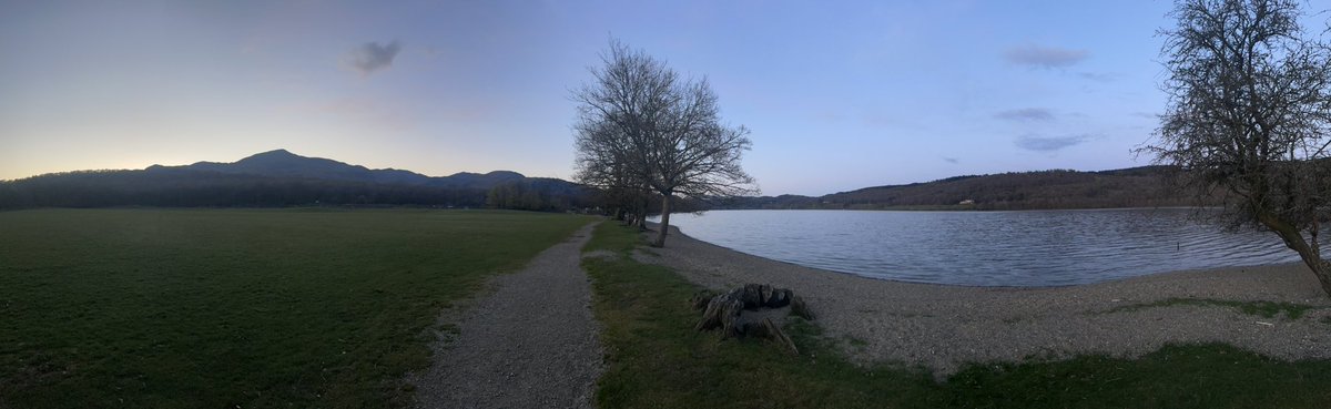 Liz Midwinter tweet media