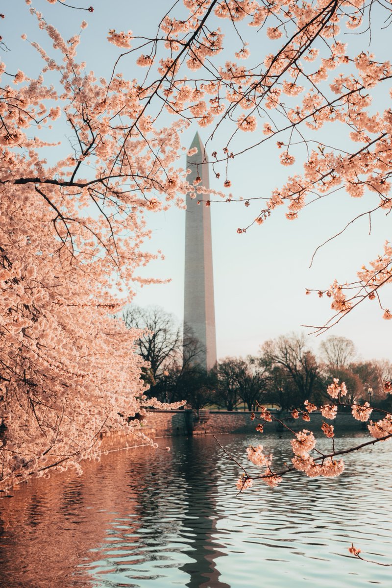 lingometro's tweet photo. There are plenty of National Monuments to visit in #WashingtonDC and one of the grandest is the #WashingtonMonument . Built in 1848df, the Monument, standing at 555 feet and 5 inches was the world’s tallest structure at the time. 
#LingoMetro #FunWithEnglish #NationalParksUSA https://t.co/B47k57uols