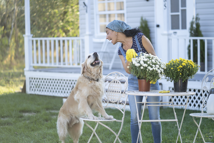 PalmerSFAgency's tweet photo. Keep your pup safe while they enjoy the spring weather by keeping them away from pesticide products or insects that could sting or bite them. #agentadvice https://t.co/y9ah7Mpx5G