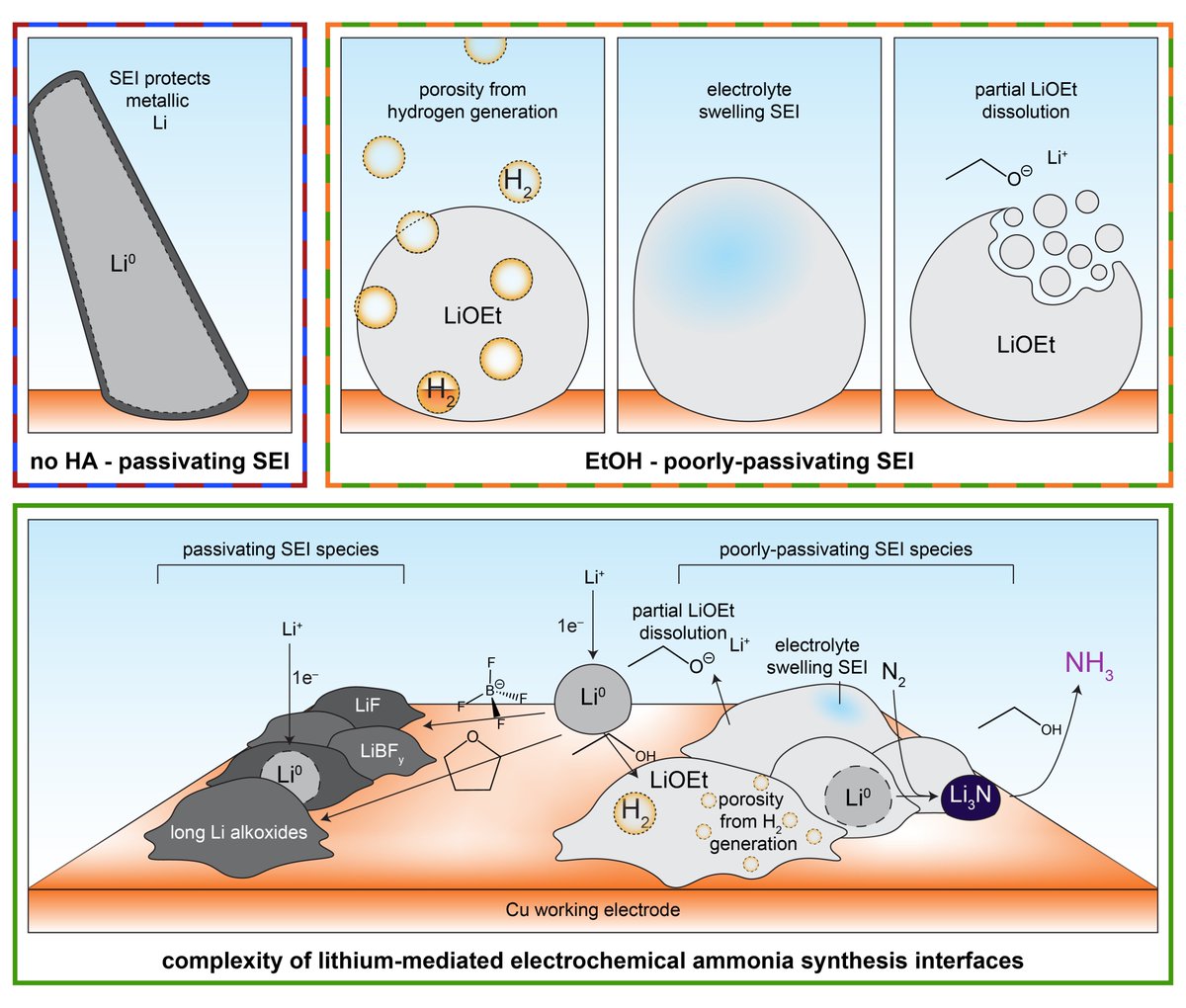 Manthiram Lab (@manthiramlab) on Twitter photo New preprint up at <a href="/ChemRxiv/">ChemRxiv</a>! <a href="/kjsteinb/">Katherine Steinberg</a> et al. (in collab w/ amazing group of <a href="/YuzhangLi/">Yuzhang Li 李煜章</a> at <a href="/UclaCBE/">UCLA Chemical and Biomolecular Engineering</a>) used a variety of surface techniques - most notably cryo-EM - to probe the mechanism of electrochemical nitrogen reduction to ammonia using lithium. New preprint up at <a href="/ChemRxiv/">ChemRxiv</a>! <a href="/kjsteinb/">Katherine Steinberg</a> et al. (in collab w/ amazing group of <a href="/YuzhangLi/">Yuzhang Li 李煜章</a> at <a href="/UclaCBE/">UCLA Chemical and Biomolecular Engineering</a>) used a variety of surface techniques - most notably cryo-EM - to probe the mechanism of electrochemical nitrogen reduction to ammonia using lithium.
