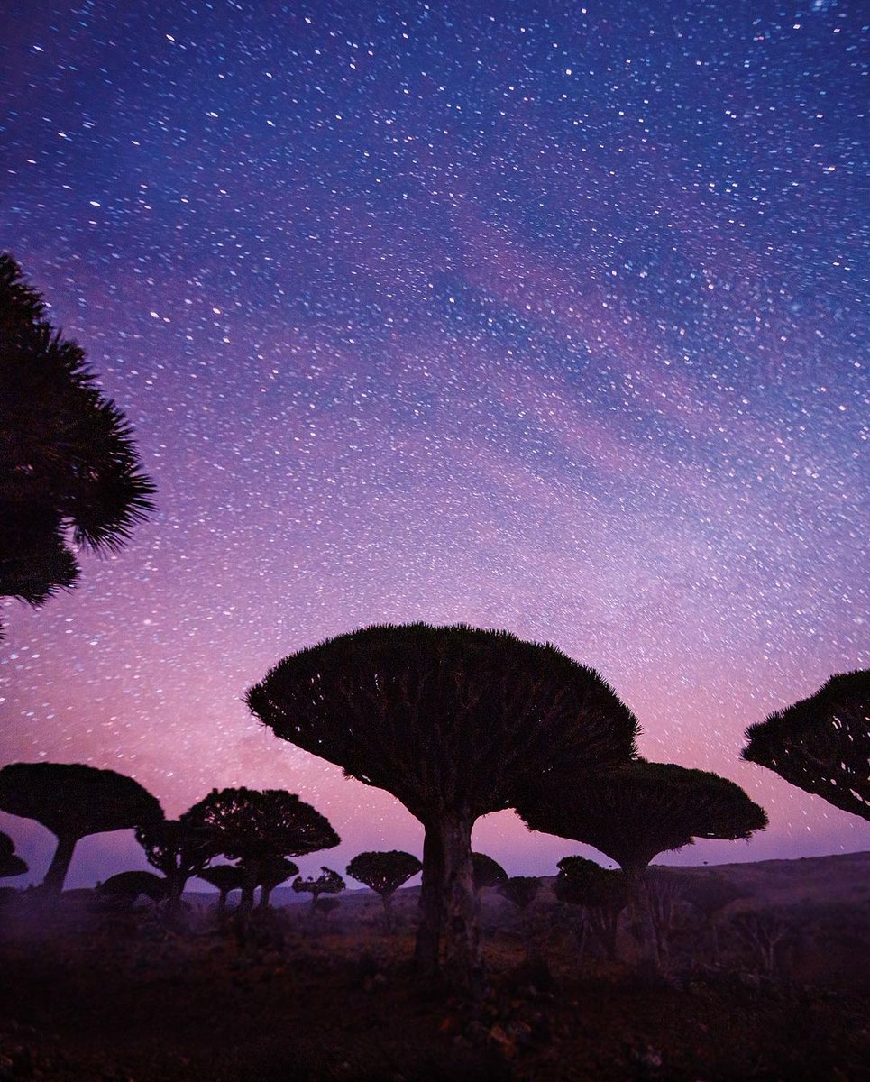 its_yemen's tweet photo. Socotra Island https://t.co/VPe9CZGeHh