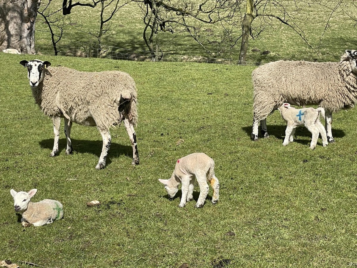 ChallengeEx's tweet image. A good acclimatisation with this weekends bronze DofE group. Epic skies again in the Peak District