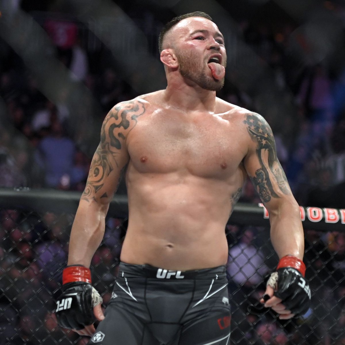 mmagonewild's tweet photo. Dana White says if Khamzat Chimaev beats Burns, we’ll see him fight Colby Covington next 👀 Who wins that? 🤔 https://t.co/DCSZJhiQNe