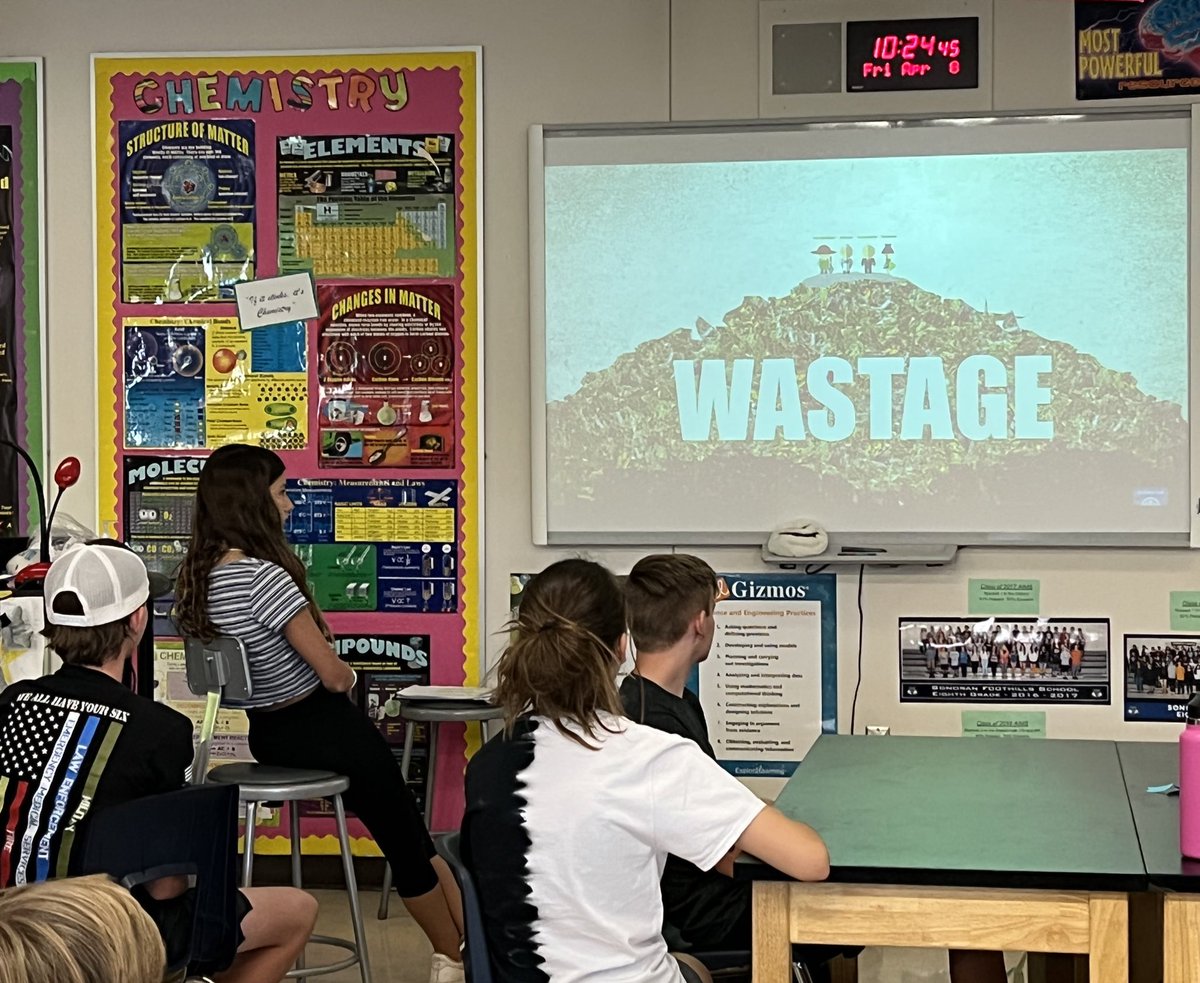 Mary Ann Cawley tweet media