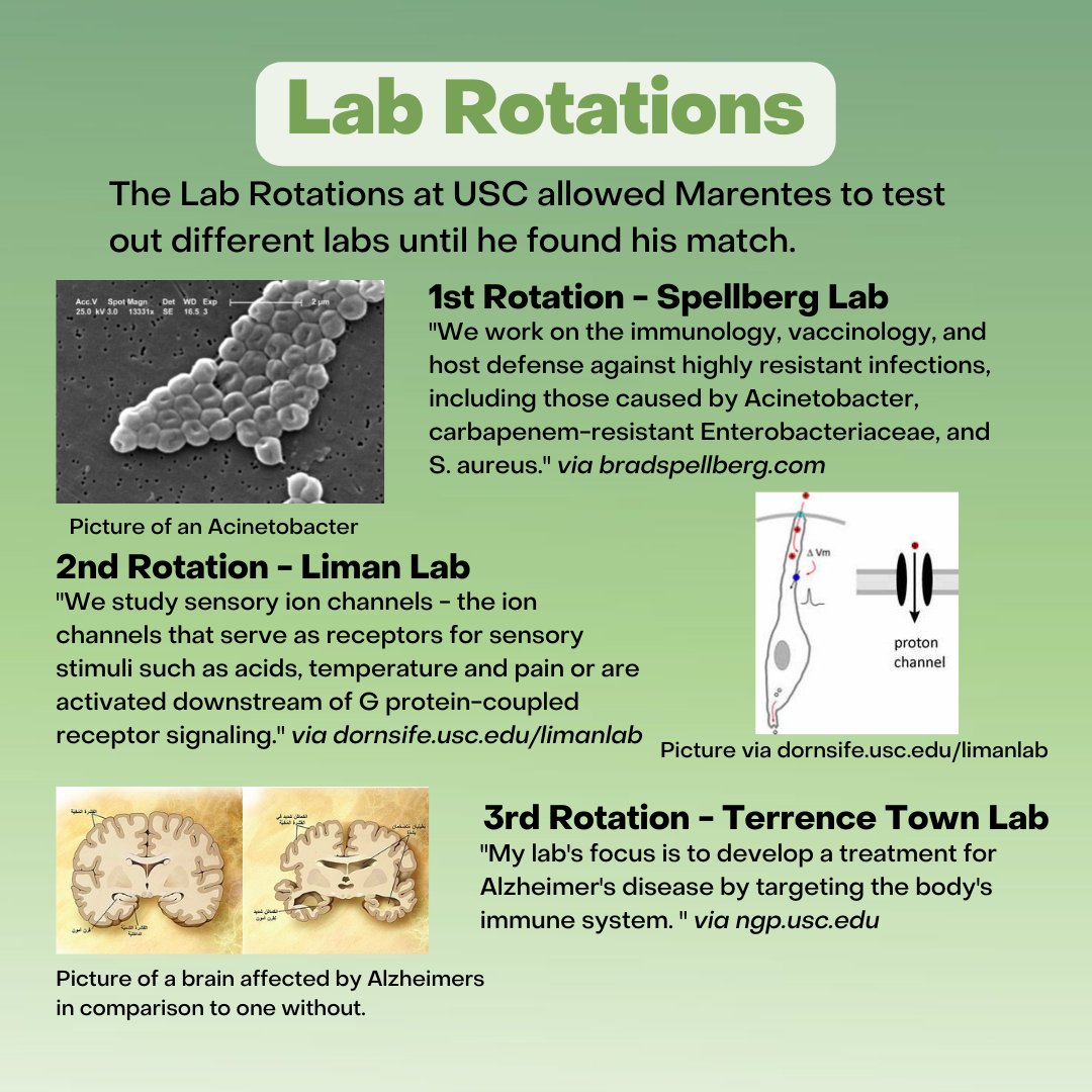 USC PIBBS tweet media