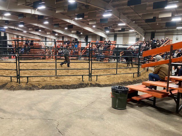HiHogRanchEquip's tweet photo. First session of the Trainers Challenge underway in Lloydminster.
#equine #everythingequine https://t.co/ePQ4coN1NG