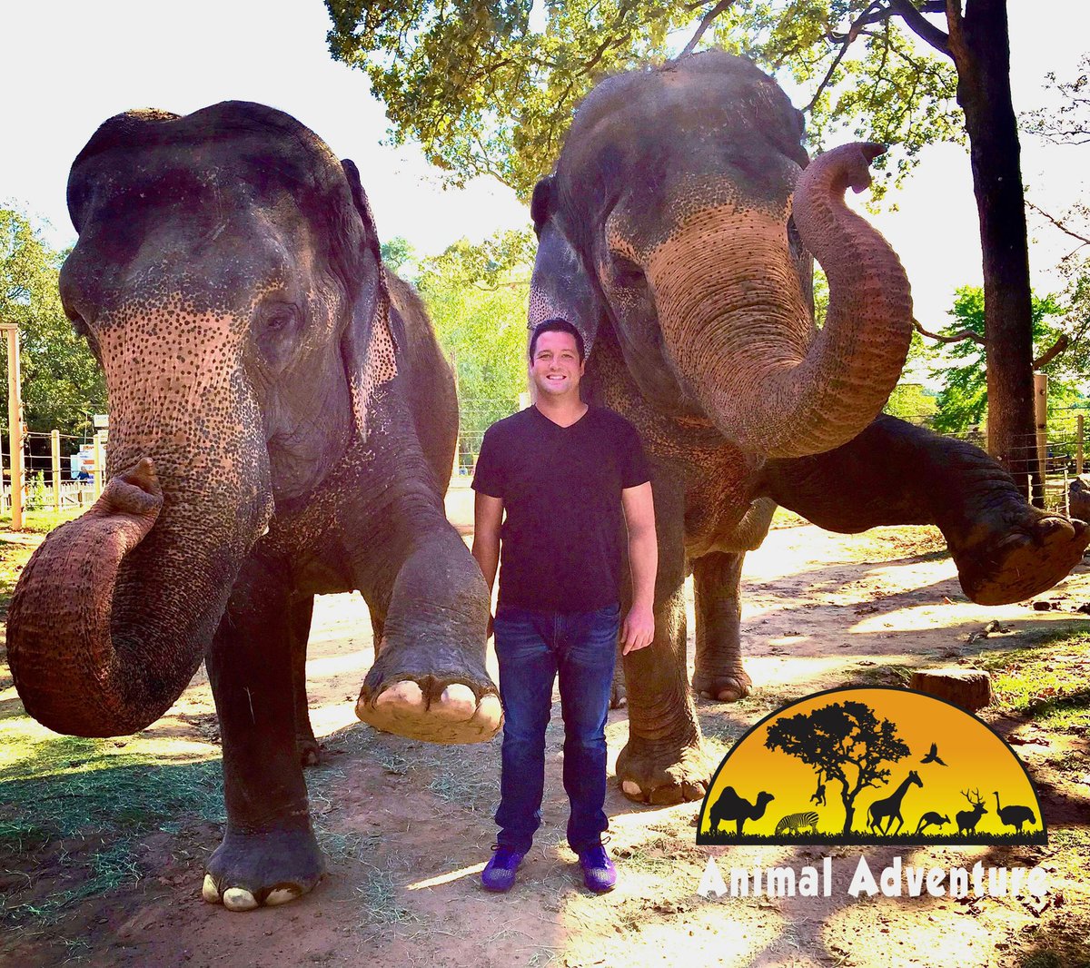 Animal Adventure Park tweet media