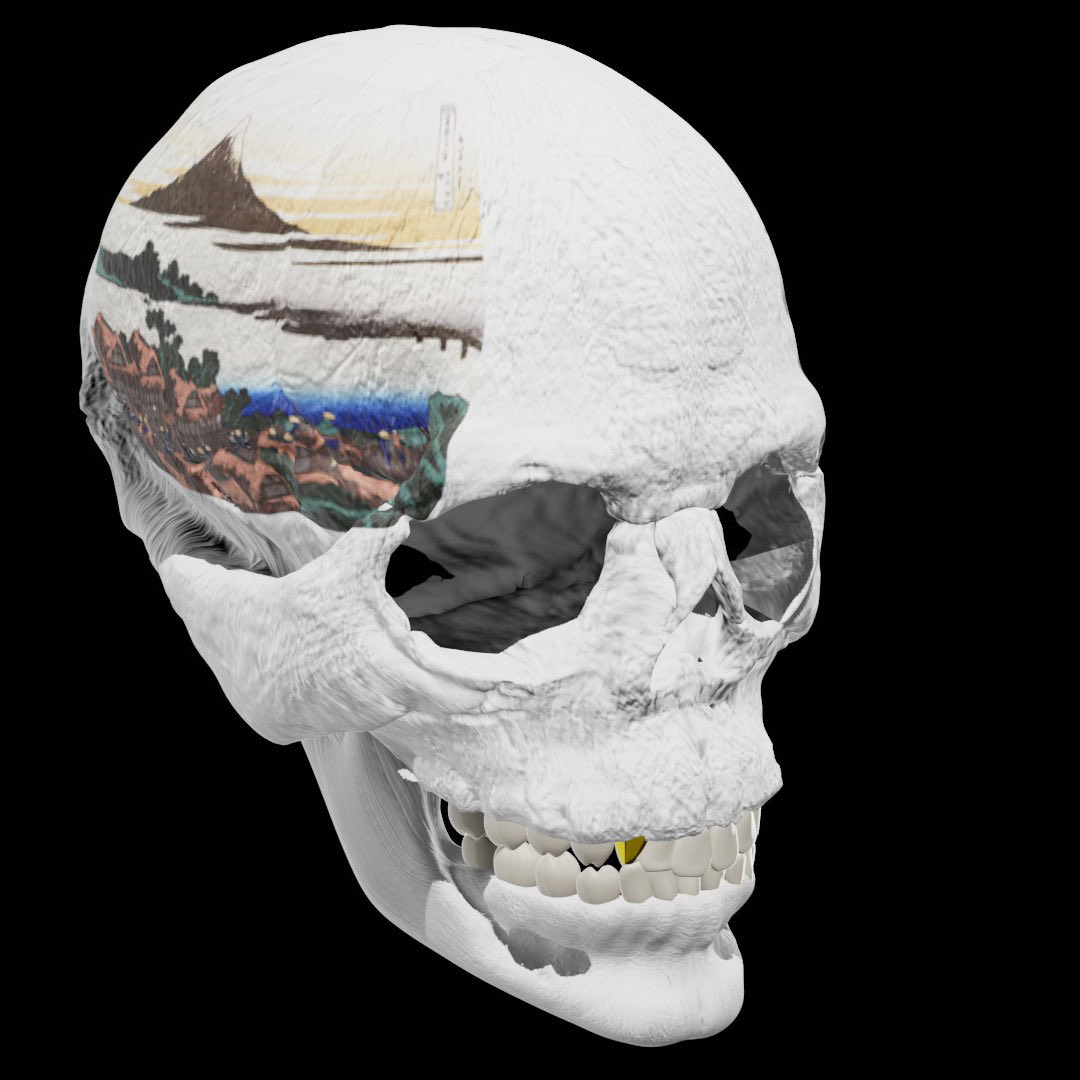 富嶽三十六景🗻　〇/46
Ukiyo-e skull made for profile picture. #NFT #opensea 
opensea.io/assets/0x495f9…