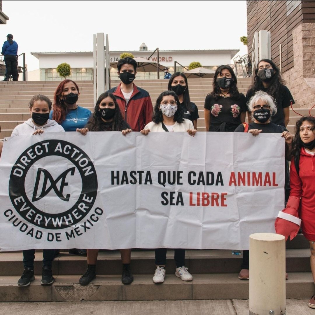 DxEverywhere's tweet photo. Lobsters biggest threat is the fishing industry, which has taken off as the fastest-growing sector of the food industry. We now kill & eat more fish from farms than caught in the ocean. 📷 #DxECDMX protest for the #EndOfFishing.
IG: @DxECDMX
More photots:
https://t.co/0fiQ7jht8g https://t.co/t1W7JDGWOB