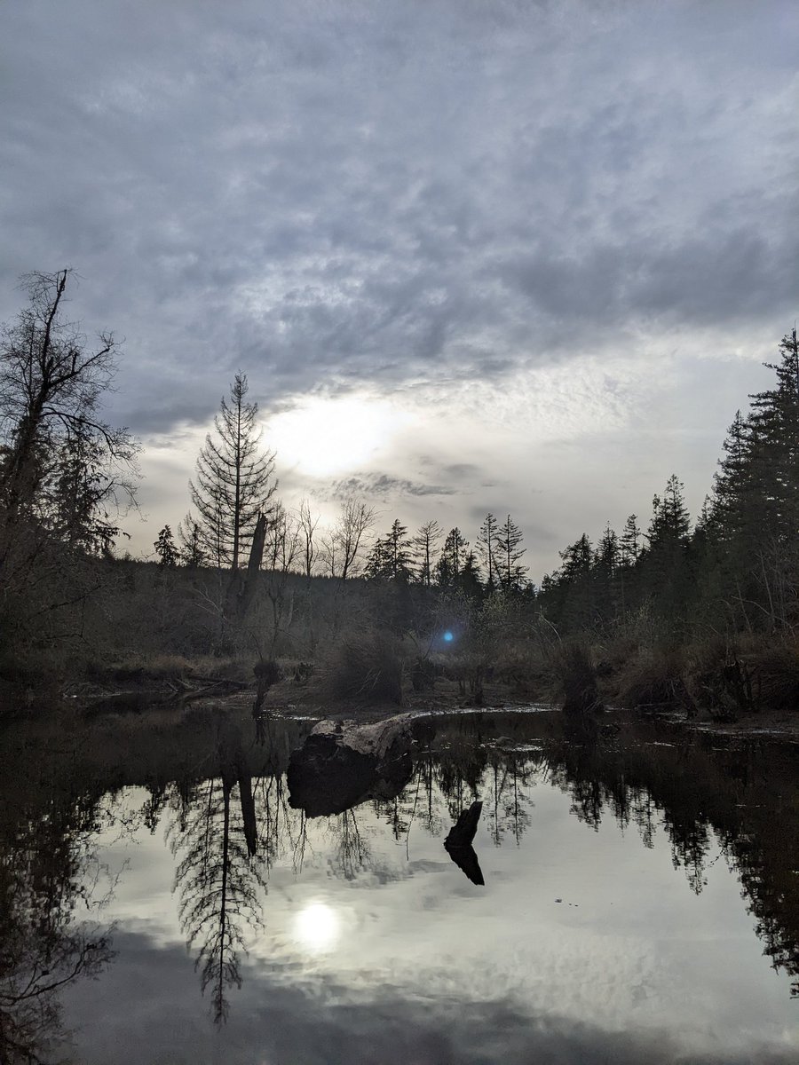 Daniela86888930's tweet photo. Reflection https://t.co/DjYXE2ntC9