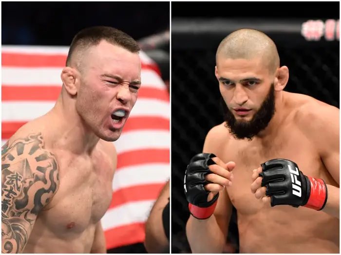 عبدالله | UFC tweet media