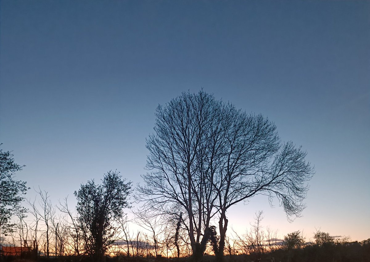 Masonbrook's tweet photo. Day 97 &amp; 98 #100daysofwalking2022 #round2crew @NTBreakfast very late walk yesterday evening and a walk just before dark this evening, it's the weekend 🍷 https://t.co/hayMroFX2t