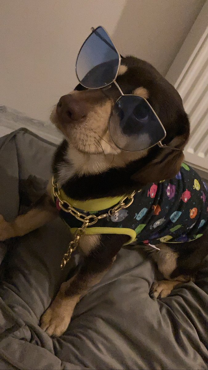 Benim yakışıklıma bakın yaaaa sizde de var mı ? Böylesi yoktur 😍