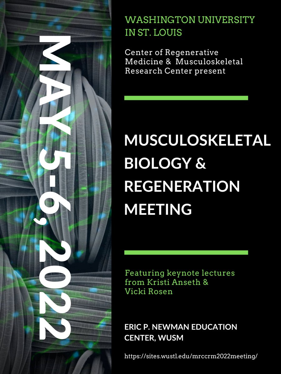wustlcrm's tweet photo. There's still time to submit an abstract for our Musculoskeletal Biology and Regeneration Meeting on May 5-6. Deadline extended until April 10! https://t.co/sSYvGBIGD7 @Farsh_G @WUSTLortho @WashU_MRC https://t.co/yPw5DhSl3V