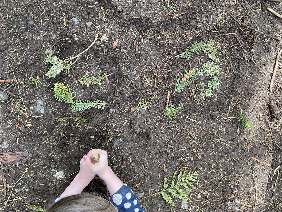 Connecting Indigenous story and math with <a href="/hwoodro/">HJ Wood</a> and Mrs F. Acorns For Wilaiya had us thinking about counting and connecting to our outdoor learning.Counting games with nature similar to the story made the story come alive. #sd37 <a href="/IndigEdSD37/">Indigenous Ed SD37</a> #bcreggiomath @NadineMcSpadden