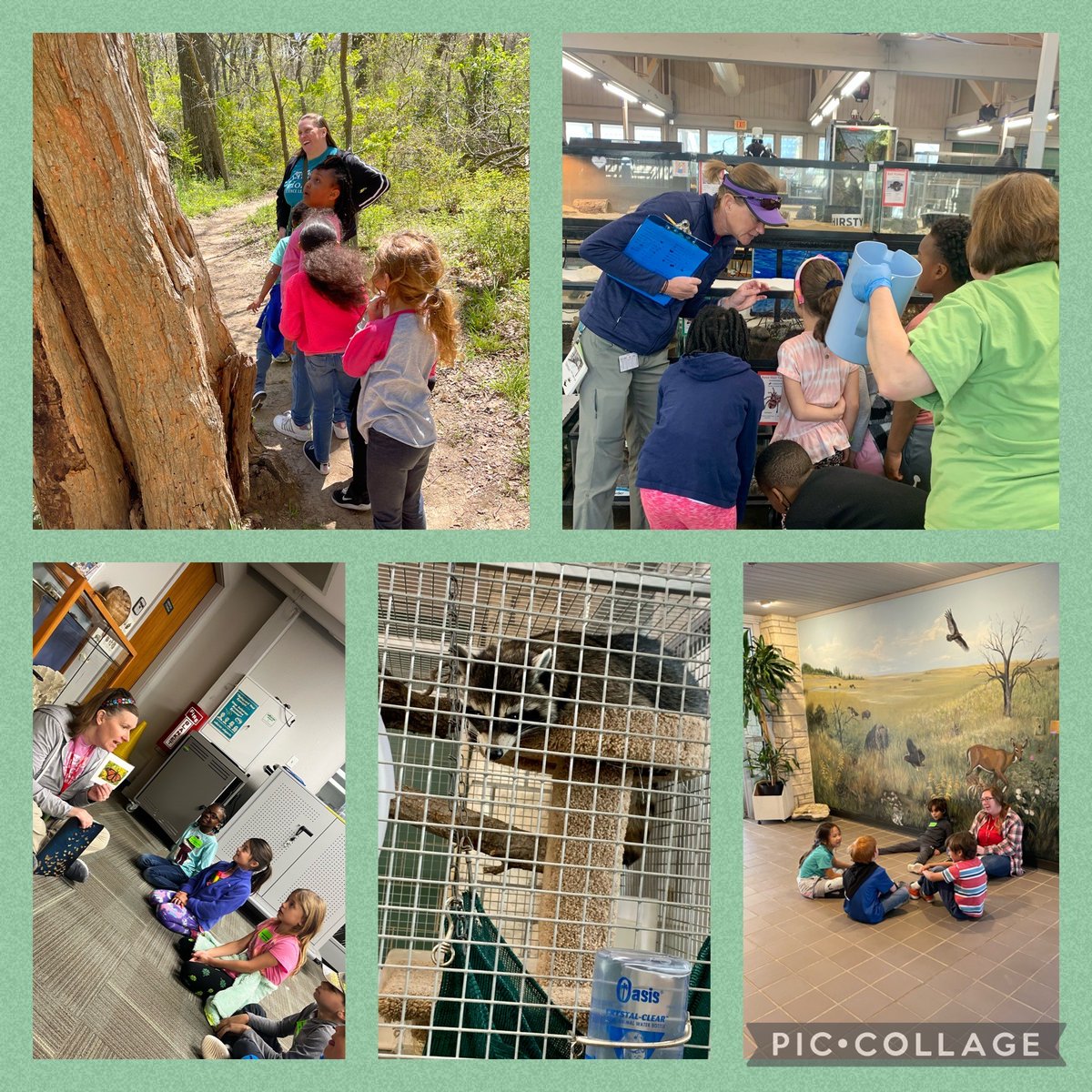 HaggarMariners's tweet photo. 1st grade fun at the OLC! @Haggar1st @pisdoutdoor #haggarlearns https://t.co/6pBNwgICm2