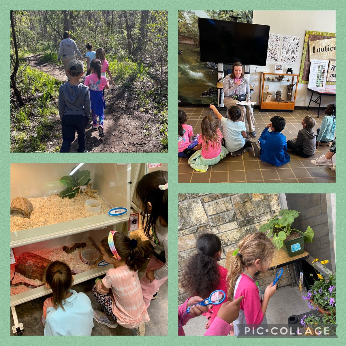 HaggarMariners's tweet photo. 1st grade fun at the OLC! @Haggar1st @pisdoutdoor #haggarlearns https://t.co/6pBNwgICm2