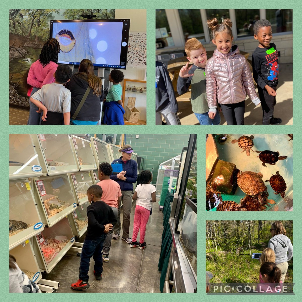 HaggarMariners's tweet photo. 1st grade fun at the OLC! @Haggar1st @pisdoutdoor #haggarlearns https://t.co/6pBNwgICm2
