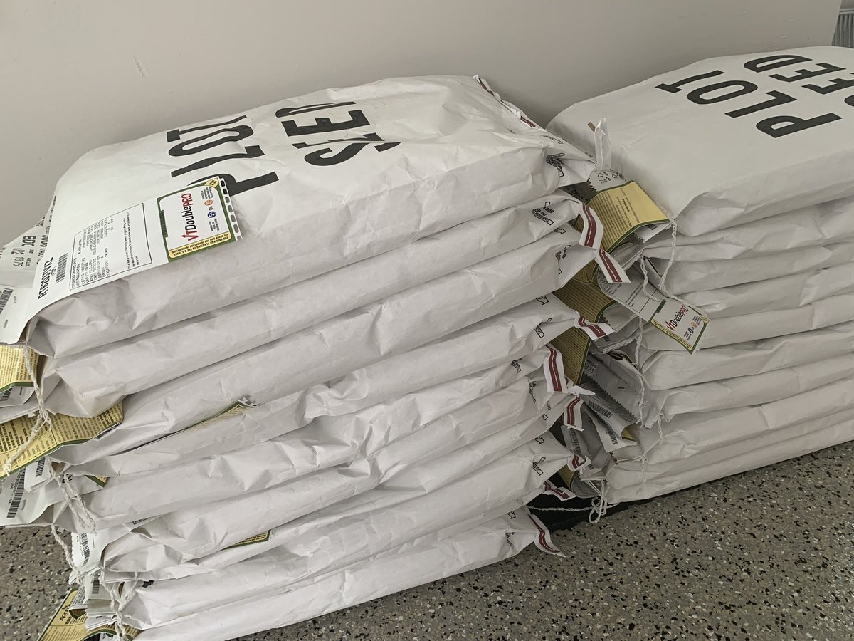 jw_schneid's tweet image. Looking into the future of @Bayer4CropsUS on this Friday. Short stature 🌽 will be in farmer trials in 2022. Looking forward to how it compares to the taller relatives. @DKAS_SIL #SmartCorn #Bayer4IL