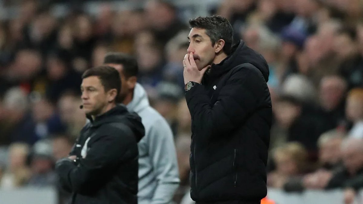 🐺 WeAreWolves 🐺 tweet media