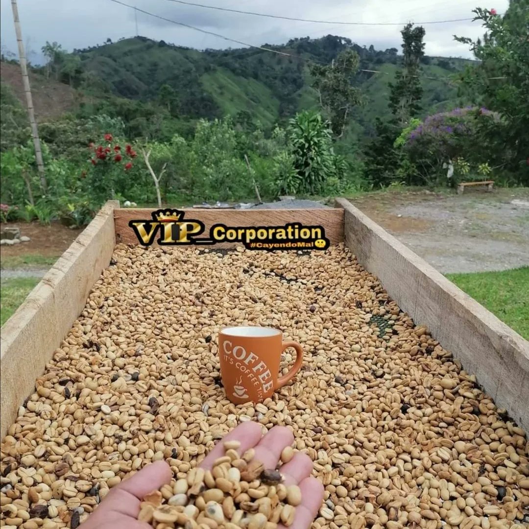 Nada como estar en la tierrita #santaclarachiriquí #Frioyniebla #café #turismo #cédula4 #meto