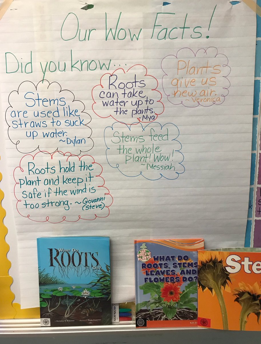 HamiltonSDOL's tweet photo. Check out the awesome plant facts that Mrs. Sisko’s first graders are learning! #Readreadreadandloveit @MsDelaneyHES @Laura_K_Lindsay @LancasterReads https://t.co/k888ZQ63be