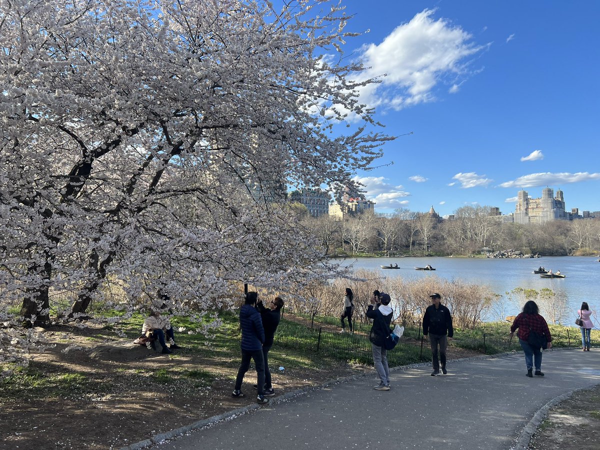 anth0i's tweet photo. Who likes snapping pics at Central Park with their significant other?😅 https://t.co/yNYOxDGJ2P