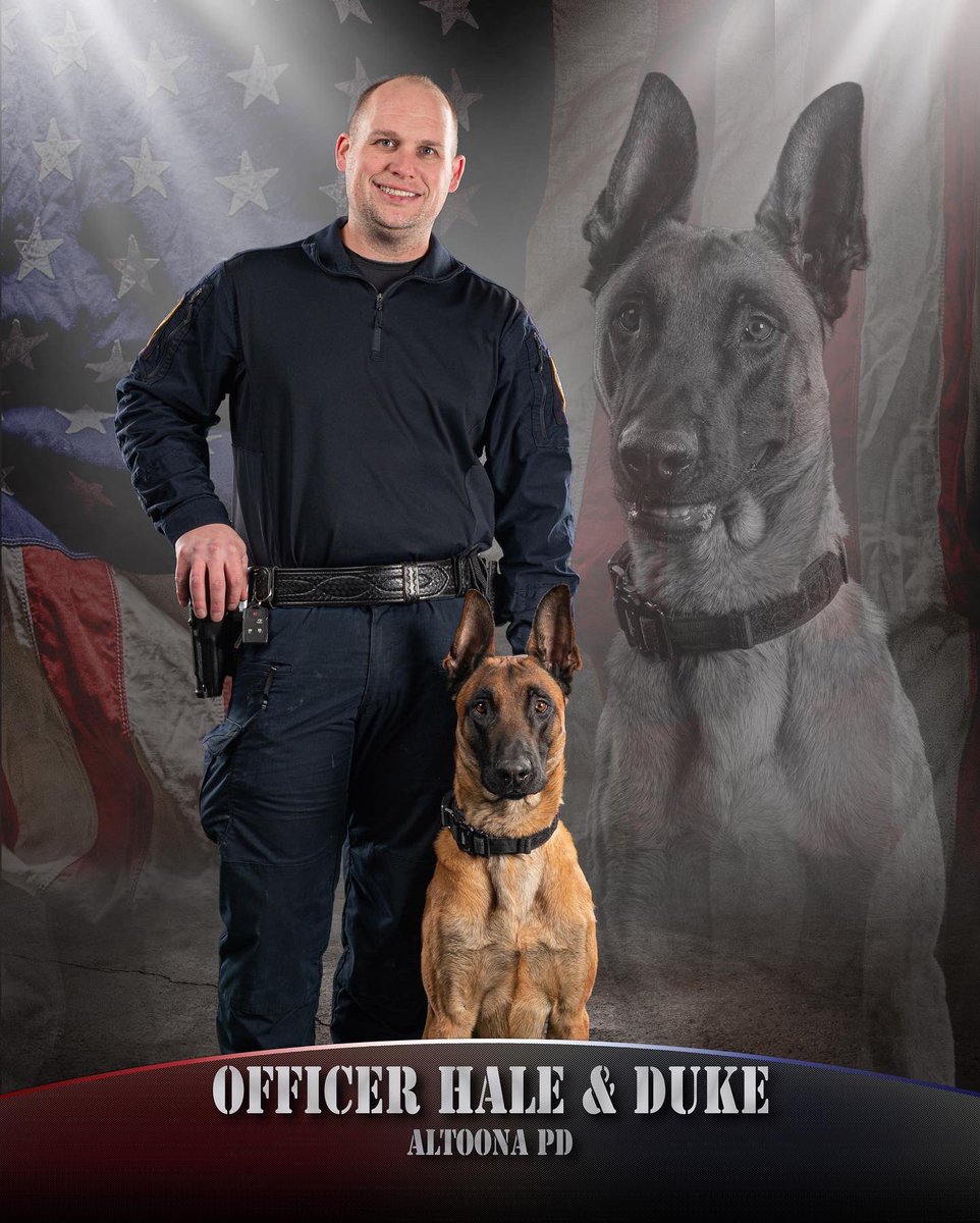 APDK9DUKE's tweet photo. Dad got some professional photos taken of me at trials this year. They turned out pretty great. I must say that I am very photogenic!!!!!

#malinois #k9 #policek9 #workingdog #k9magazine #photogenic #photography #dogphoto #glamourshots #memories https://t.co/VxYJnkYGqj