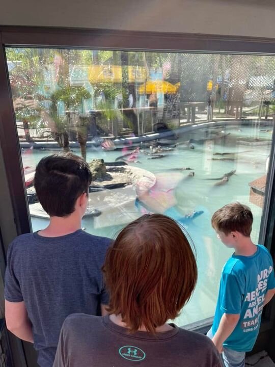 Wild_Adventures's tweet photo. #FanFriday! We love it when guest's share their pictures with us!
Wanna see your photos on Wild Adventures' Social Media? Use #YesWAShare, #WildAdventuresThemePark, or tag us in your photos!
๐ธ: Alexander William Futch
๐ธ: Jonathan Pope
๐ธ: Cecilia Grace
๐ธ: Trevel Cooks https://t.co/nrcJrLvUPu