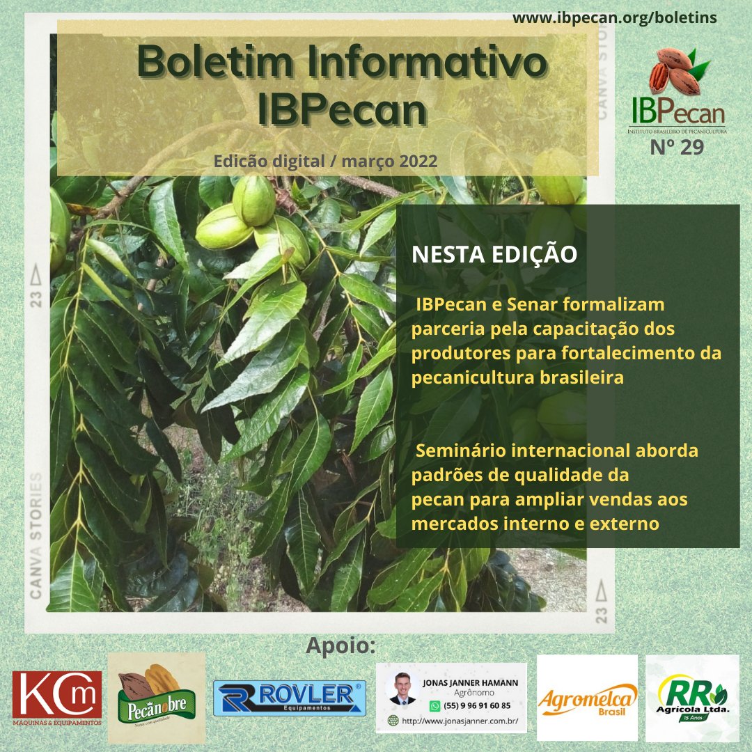 pecanicultura's tweet photo. Já acessou a nova edição do Boletim Informativo Mensal do IBPecan? Confira na íntegra!
https://t.co/X9ghvRQ8wf
Acesse aqui todas as edições: https://t.co/PGsC9oQj2r https://t.co/k5lDLlkTPg
