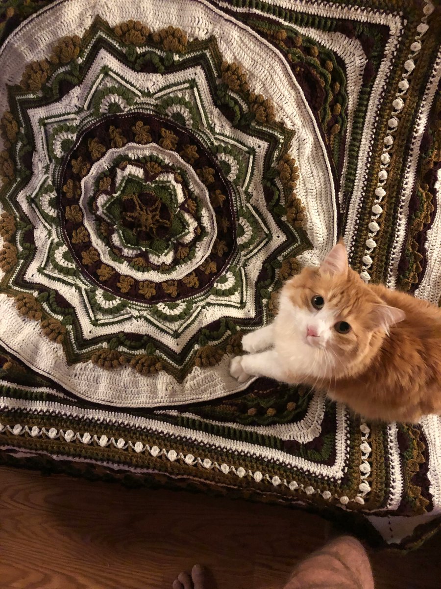 doctorsamuel's tweet photo. Tomorrow's the day! Come by our offices at 10am this Saturday for a free class teaching you how to crochet! (Cat not included) https://t.co/OrRnEX4kJf https://t.co/rwj3SscIBF