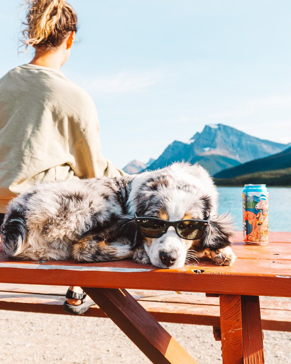 Have a great weekend, party animals! #twitterdogcommunity #partyanimal #weekendvibes