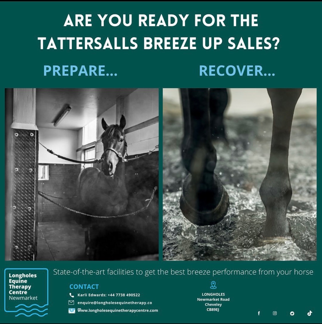 Longholes Equine Therapy Centre tweet media