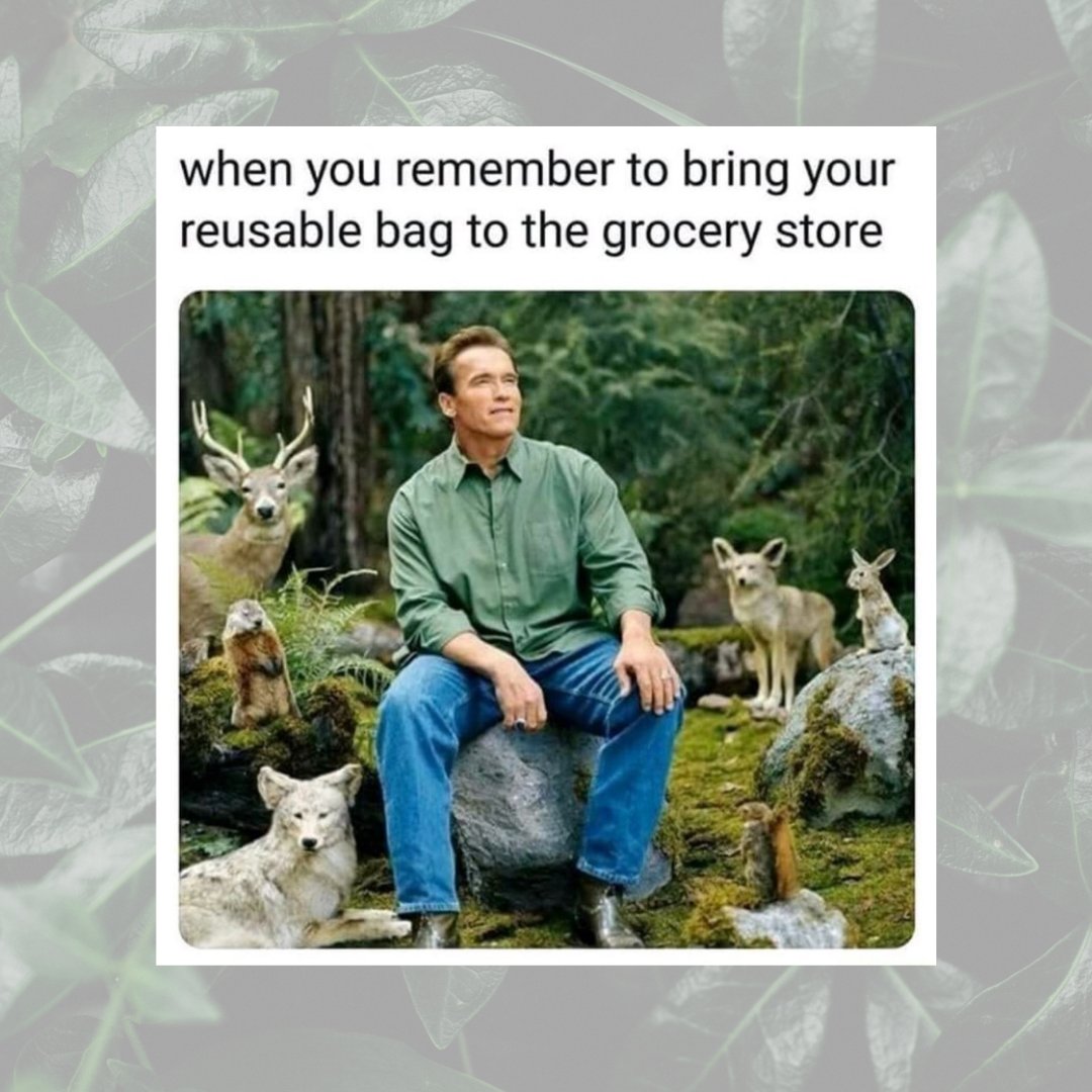 Now imagine how good it feels to wear eco-friendly glasses every single day... We just dropped our new bio-acetate glasses collection - yes, you can wear plants on your face (and look amazing while doing it).