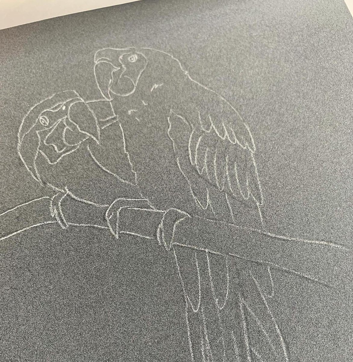 Matite pastello PASTEL Pencil e carbothello.
Un mix dove le Carand’Ache vincono 100 a 1 #pastelpencil #carbothello #illustration #matitepastello #carandache