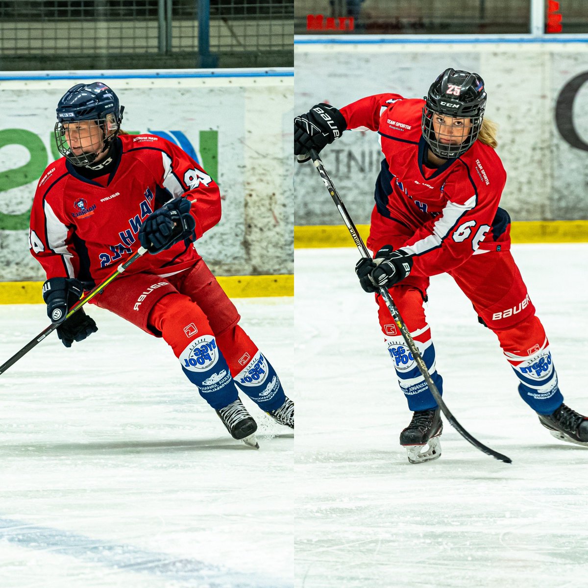 Hanhals Kings tweet media