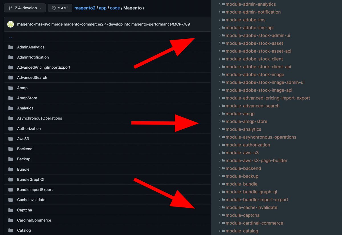 If you are a Magento module developer, you may have trouble managing multiple Composer packages that are spread across many GitHub repositories. A great solution to this is to use a monorepo!

LogRocket has an awesome article on how to set up a monorepo at bit.ly/3pG9Mdk