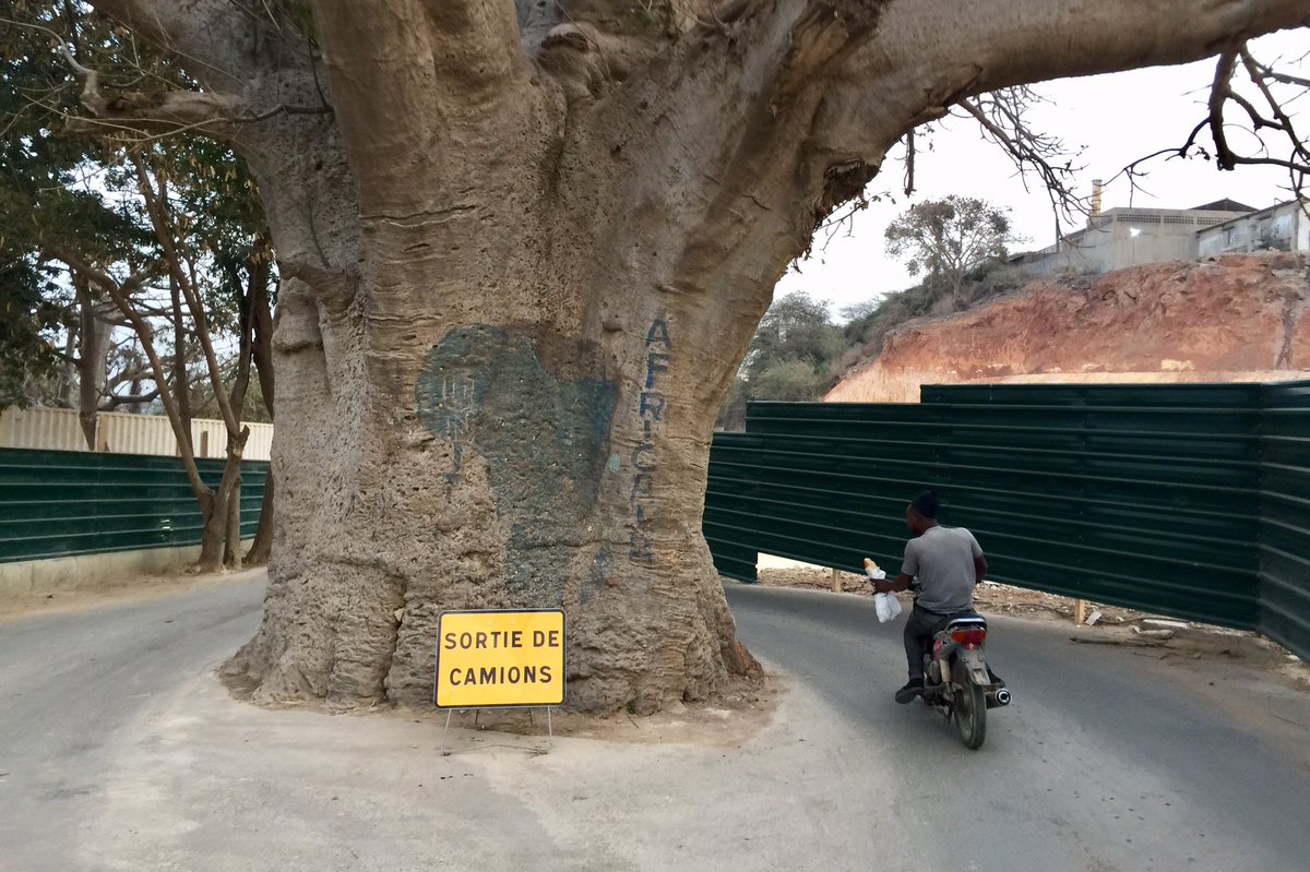 MJAFP's tweet photo. #Dakar, 8 avril 2022. #Sénégal https://t.co/ixcklzgugQ