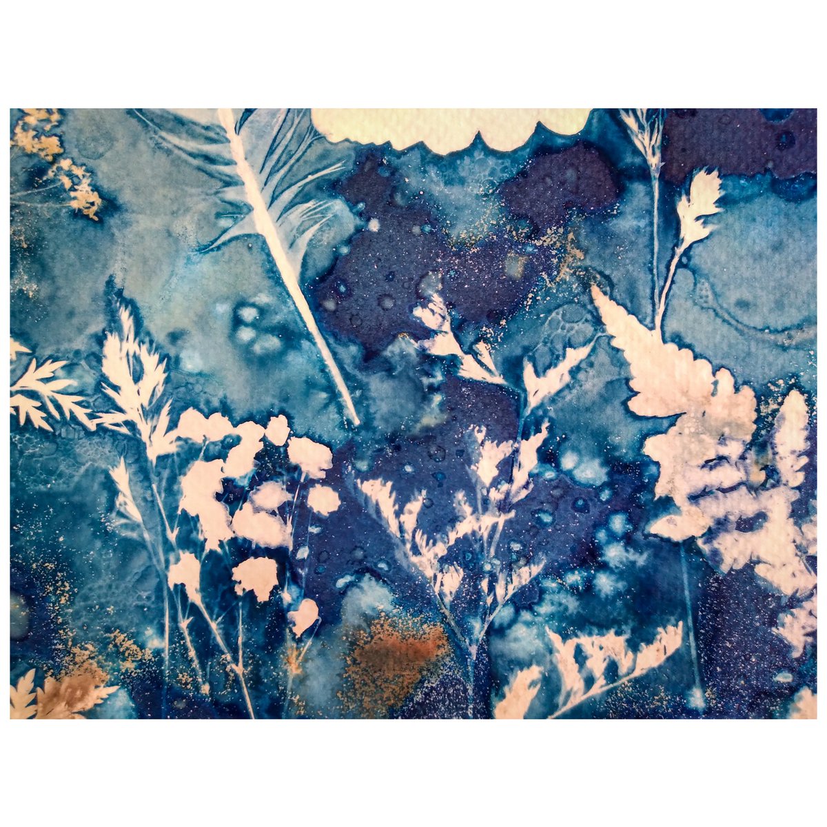 maverickart's tweet image. 1. Take digital image of #cyanotype 2. Find interesting square compositions within. 3. Add 4 of the same image to a collage. 4. Flip and rotate until symmetrical. 5. Repeat. 6. Gif together edits and play at a rave... #photography #cameralessphotography