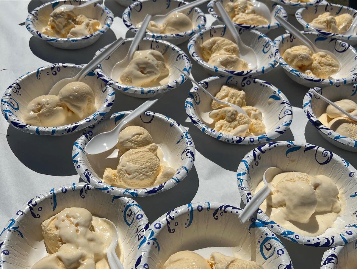 Rose Stein International tweet media