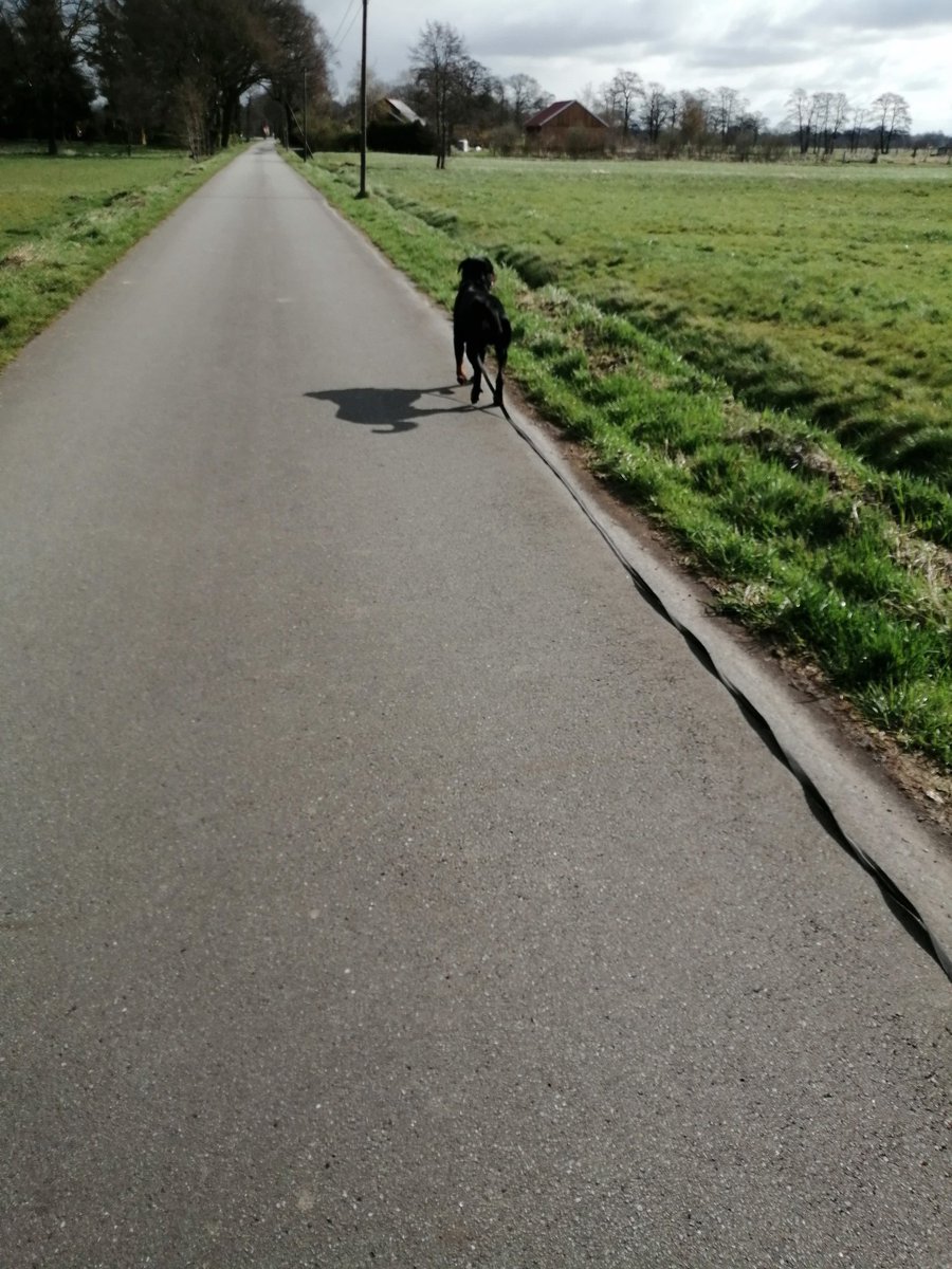 BroncoTheRottw1's tweet photo. The same routine every day... This is brand new to me and I love The same routine every day... This is brand new to me and I love it 😍

For support use the revlink 
https://t.co/nekkL7mQmt

#rottweiler #hundeleben #hundeliebe #pflegehund #hunde #dogslife #dogs #dog #tierheim https://t.co/58xkEC0taQ