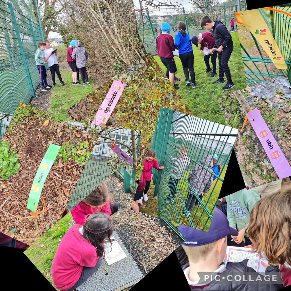 RangMsharrison's tweet photo. Happy Holidays from 4th class @kinvarans 🐣🐰🐇 
Thanks @MsPurcellsClass for a lovely treasure hunt🥚🍫 https://t.co/BgciAthAfu