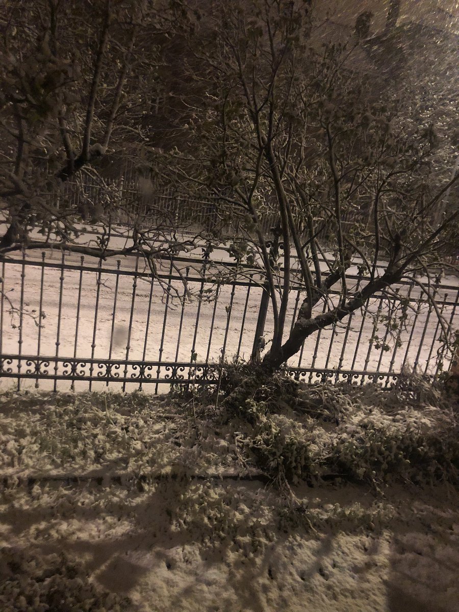 HeureuxMessin57's tweet photo. Voilà pourquoi j’aime ma Moselle, j’aime ma Lorraine. Tu es au #Picon et une envie de raclette te prend un 8 avril en regardant par la fenêtre!!!!!!! https://t.co/GrZbflLm1C