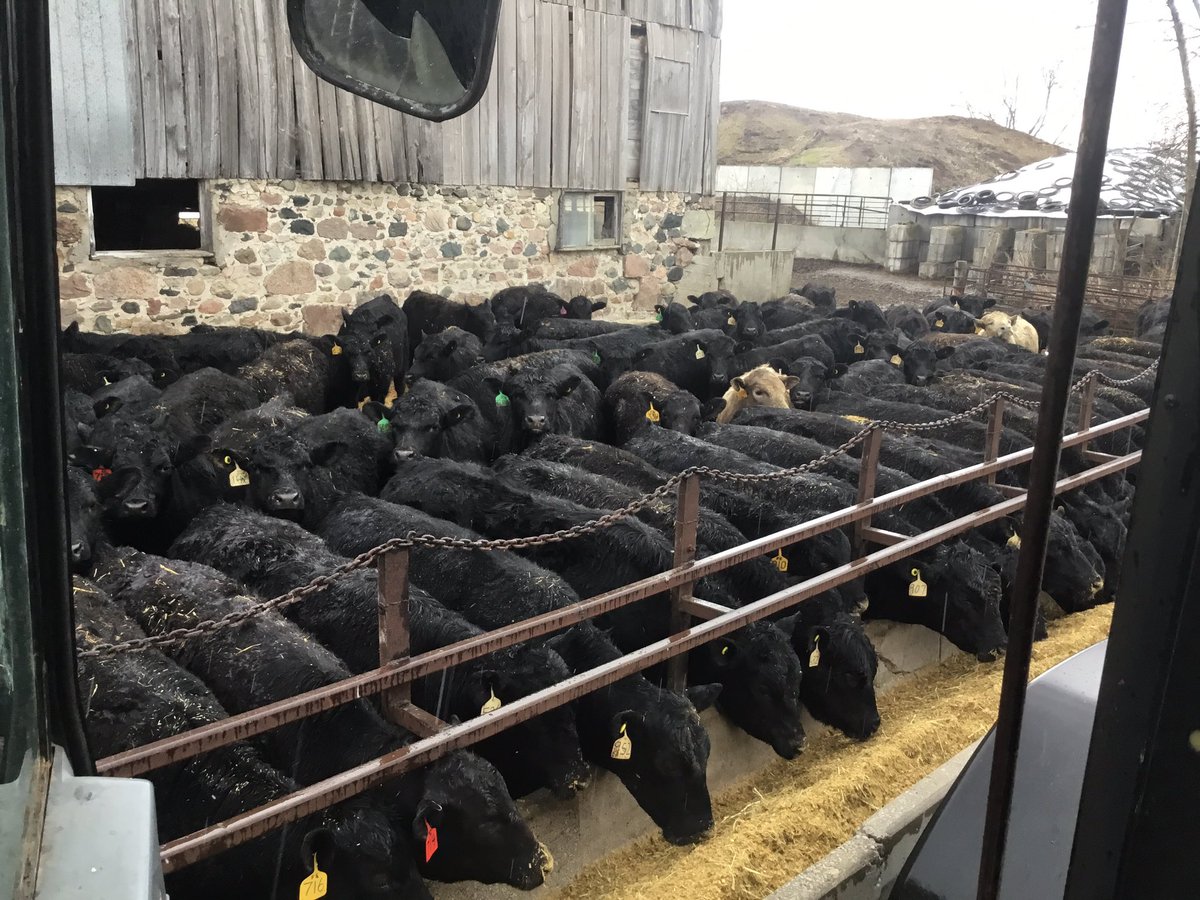 Pen “12” iykyk sorry bout the rain/hail boys